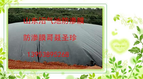 万年县黑膜沼气池建设防渗土工膜1.5mm价格  防渗膜