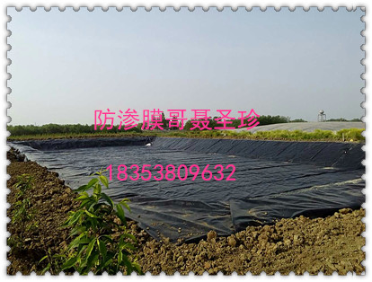 江西黑膜沼气池建设防渗膜1.5mm厂家优惠促销  防渗膜厂家