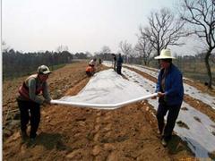淄博规模大的地膜提供商 山东地膜价格  山东地膜销售