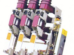 FZN25-12D/630代理商 厂家推&nbsp;&nbsp;高压真空负荷开关&nbsp;&nbsp;FZRN25-12D