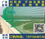 肇庆公路防落围栏网 钢丝网护栏