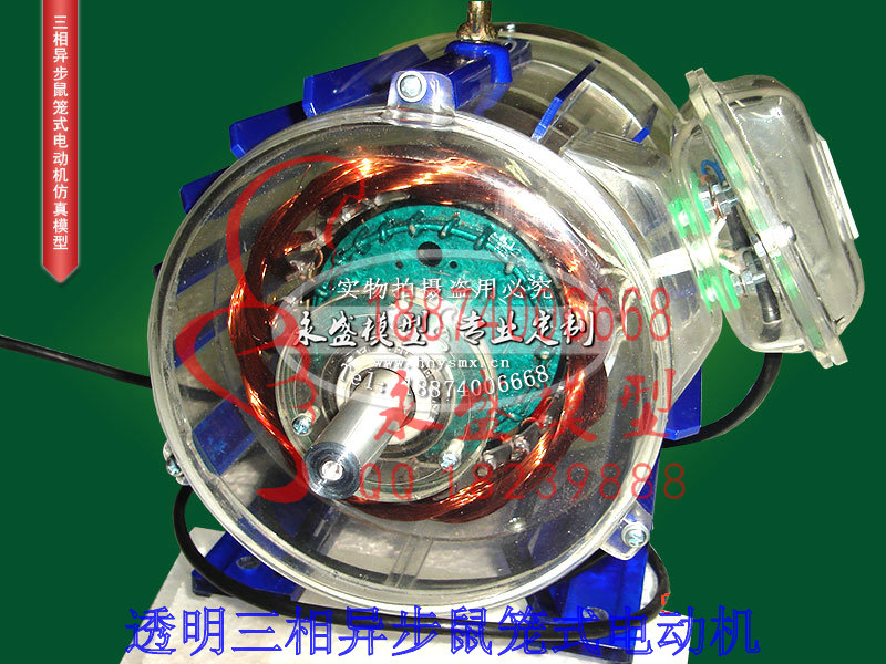 东阳仿真装置透明三相异步鼠笼式电动机那里有实训装置&nbsp;&nbsp;培训模型&nbsp;&nbsp;半剖模型&nbsp;&nbsp;科研模型