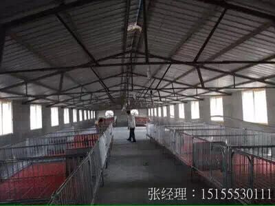 为您推荐超值的母猪产床——山东母猪定位栏