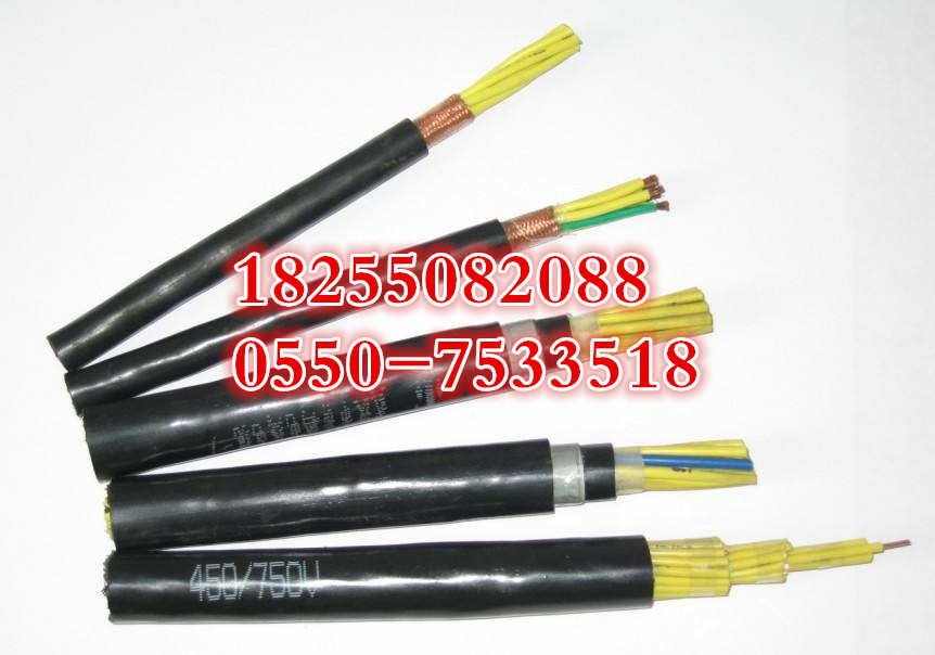 供应-ZRB-DJYPVP控制电缆厂家新品