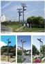 定西太阳能路灯厂家_定西太阳能路灯柱|中