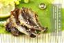 【推荐一下】烟台海蜇批发#威海虾米批发#