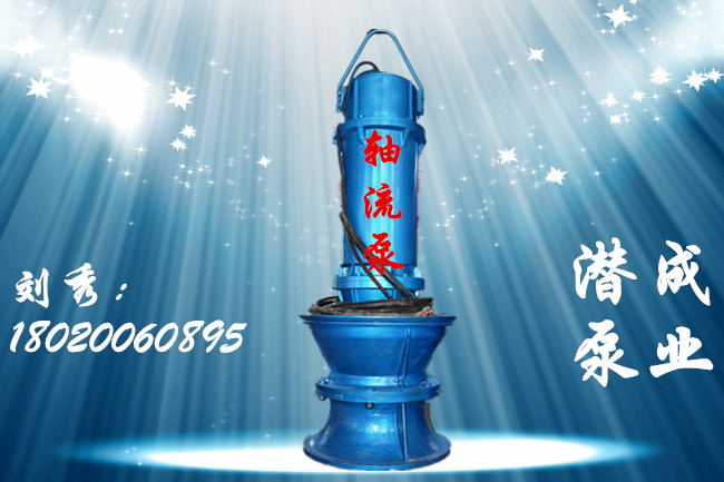 潜水轴流泵-轴流泵型号-轴流泵厂家-潜水轴流泵厂家