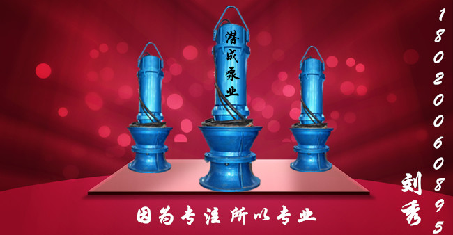 潜水轴流泵-轴流泵型号-轴流泵厂家-潜水轴流泵厂家