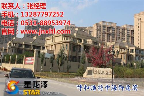 岩片漆工程|岩片漆|星龙漆(多图)  硅丙岩片漆  岩片漆团购
