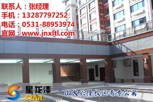水包水_星龙漆_外墙别墅水包水  水包水多彩漆厂家  济南水包水多彩漆