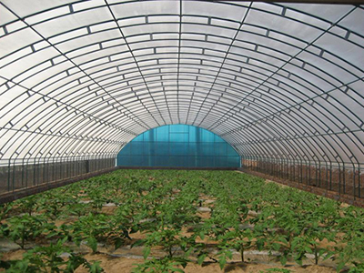 巴音郭楞地膜 厂家销售地膜质量保证 量大&nbsp;&nbsp;农用地膜&nbsp;&nbsp;兰州地膜