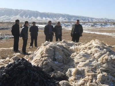 优良的废旧地膜供应商当属金土地_西北废旧&nbsp;&nbsp;废旧地膜回收&nbsp;&nbsp;甘肃废旧地膜回收