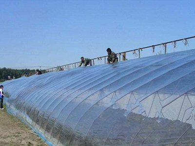 新地膜信息知名供应商家提供——博尔塔拉地 农用地膜 兰州地膜