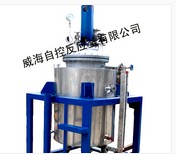 天津不锈钢高压釜，山东新品加压反应釜哪里&nbsp;&nbsp;100l 反应釜&nbsp;&nbsp;200l高压釜