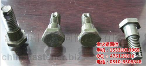 非标带孔螺栓_漳州带孔螺栓_带孔螺栓供应  外六角带孔螺栓  高强度带孔螺栓