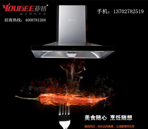 怎么买质量好的大吸力油烟机呢   热销油&nbsp;&nbsp;吸油烟机