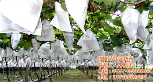 农用无纺布价格_佛山瑞信农用无纺布_瑞信  农用无纺布厂家