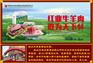 哪里能买到放心的呼伦贝尔牛羊肉|精品蝴蝶