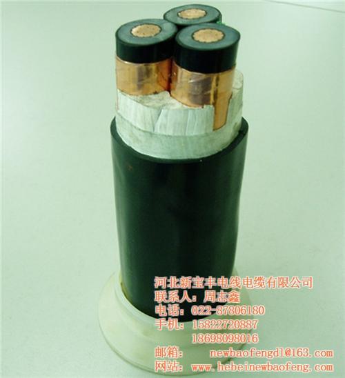 西藏拉萨超高压电缆_河北新宝丰为您推荐_ 超高压电缆厂家 超高压电缆公司 超高压电缆销售