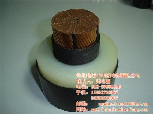 浙江超高压电缆_河北新宝丰为您推荐_超高 超高压电缆厂家 超高压电缆生产 超高压电缆国标