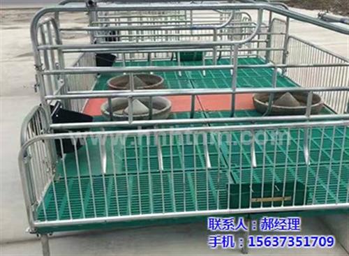 母猪产床设备_吉林母猪产床_恒泰农牧设备&nbsp;&nbsp;可拆卸母猪产床&nbsp;&nbsp;欧式母猪产床