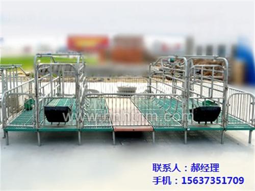 母猪产床|恒泰农牧设备|新型母猪产床  母猪产床尺寸  母猪产床安装