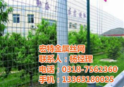 荷兰网厂家_荷兰网_散养鸡荷兰网&nbsp;&nbsp;荷兰网价格&nbsp;&nbsp;浸塑荷兰网