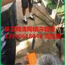 丰南王兰庄清运污水139一1061一8049