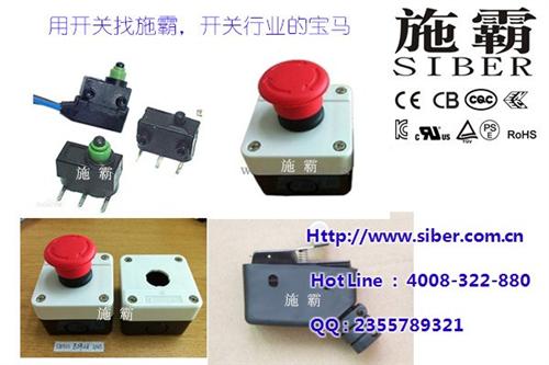 热销金属防水防尘开关厂_江苏防水防尘开关  最新施霸中途防水  大量供应微动防水  RL2(P)防水