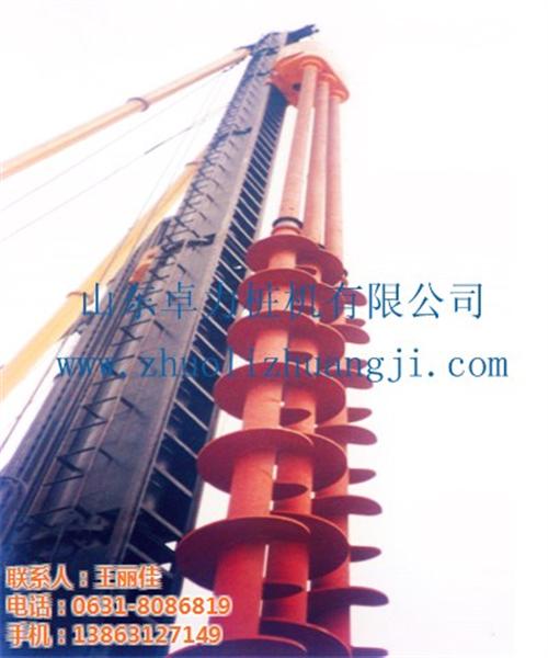 振动捶打桩机_威海桩机_卓力桩机(查看) 撒装机 CFG桩机 螺纹桩机