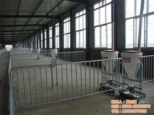 沧州养猪设备,养猪设备,青驰源(多图) 东北养猪设备