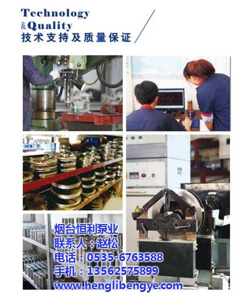双吸流程泵价格、菏泽双吸流程泵、烟台恒利  水处理双吸流程泵  工业双吸流程泵