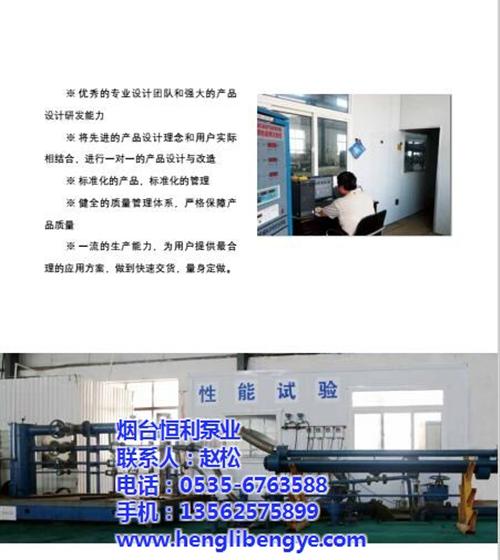 菏泽标准化工流程泵_烟台恒利泵业_标准化  标准化工流程泵设  标准化工流程泵用  各类标准化工流程