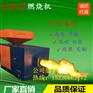 辽宁阜新市锯末颗粒燃烧机终身维护