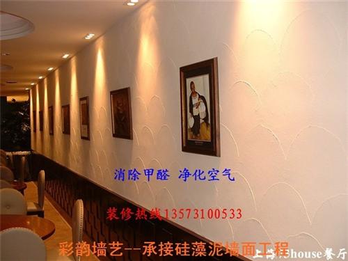 硅藻泥施工费用、济宁硅藻泥施工、彩韵墙艺 硅藻泥施工墙面 硅藻泥施工品质