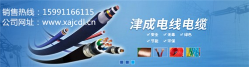 津成25平方电线现货|佛坪津成25平方电