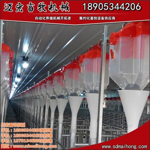 自动养猪料线优势、自动养猪料线、迈宏畜牧  自动养猪料线好用  自动养猪料线规格