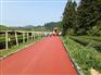 国内资深专业生产透水沥青高粘剂公司，首选深圳市天之