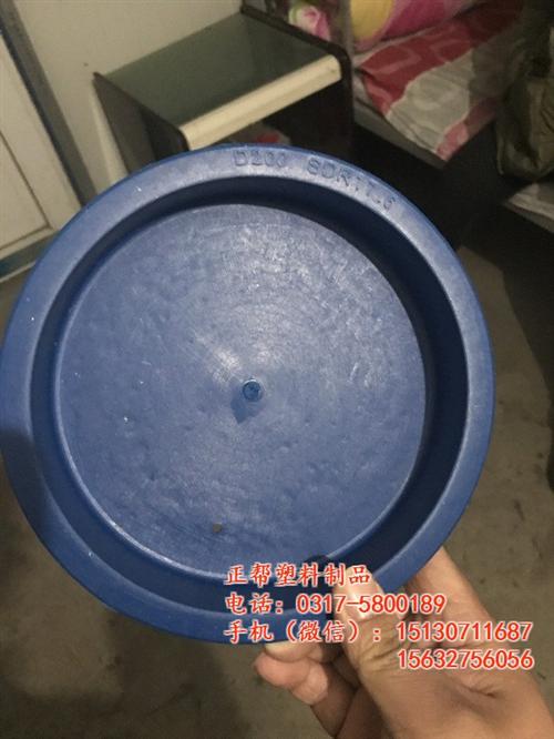 上海PE管塞|正帮塑料制品|PE管塞价格&nbsp;&nbsp;排水PE管塞&nbsp;&nbsp;农田灌溉PE管塞