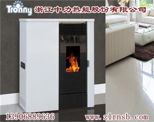 壁炉公司_辽宁壁炉_浙江中力大众信赖(多&nbsp;&nbsp;壁炉采购&nbsp;&nbsp;壁炉分享商