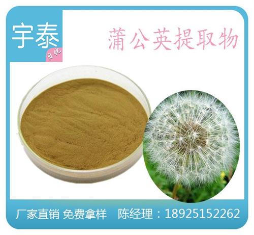 艾叶提取物、宇泰、艾叶提取物厂家 艾叶提取物公司 艾叶提取物加工