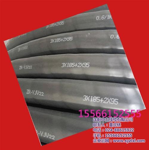 苏州电缆、中力线缆、电焊机电缆  BV系列电缆  铜芯聚录乙烯电缆