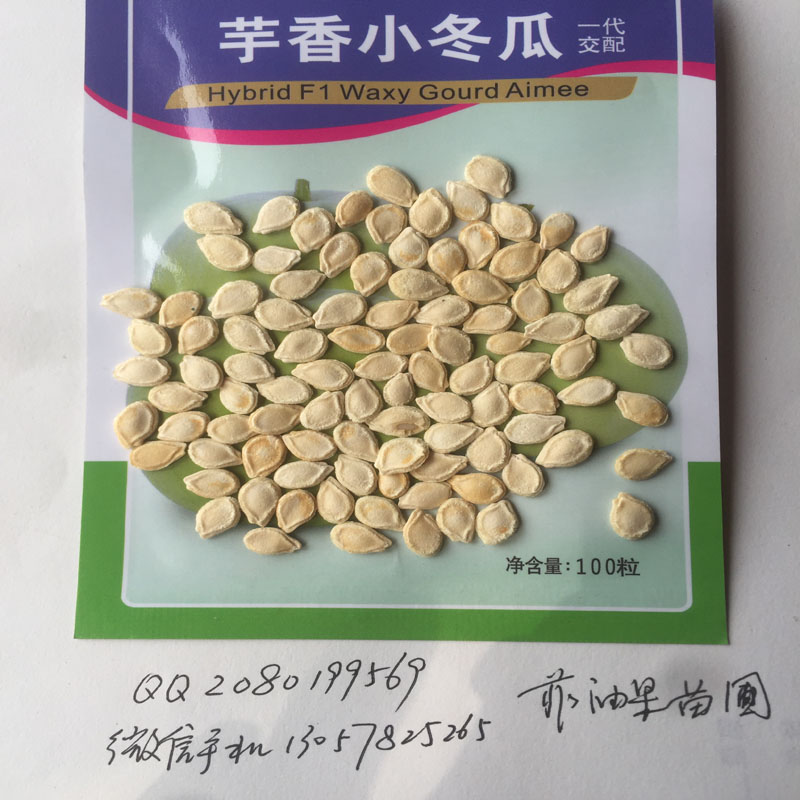 芋香小冬瓜种子 芋头冬瓜 粉皮冬瓜 风味迷人 肉厚  芋香冬瓜  迷你冬瓜