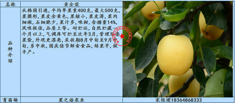 红梨树、红梨树批发
