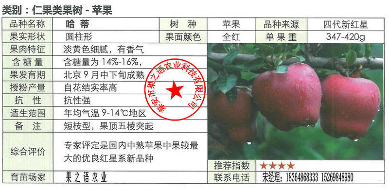 江西景德镇含香苹果苗一亩栽多少棵