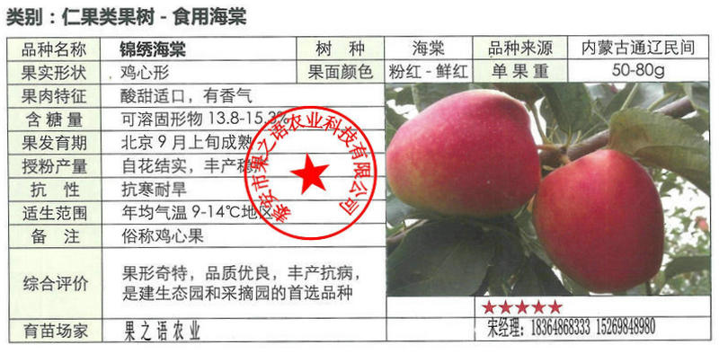 江西景德镇含香苹果苗一亩栽多少棵