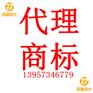 代理注册商标申请专利项目申报