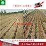 河北保定最新pe管销售商|供应商