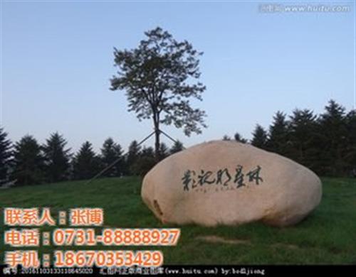 博茂景观石,青园街道景观石,博茂园林(图  水池景观石  公园景观石