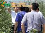 山姆苹果、康霖现代农业、山姆苹果礼盒多少